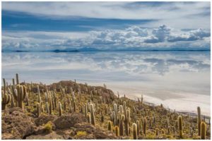 isla-incahuasi-uyuni-bolivia